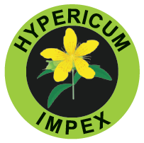 Hypericum Plant Tratamente Fulga